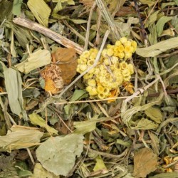 Vita Herbal Functional mix wspierające pracę wątroby dla gryzoni i królika,  300g