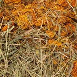 Vita Herbal Siano  z nagietkiem 800g