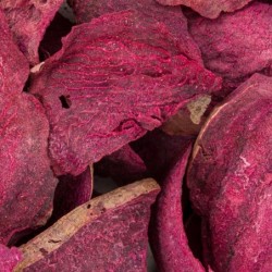 Powerki Burak liofilizowany dla gryzoni, królika oraz ptaków egzotycznych 20g