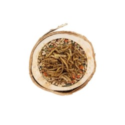 Miseczka proteinowa dla gryzoni, 1 szt.