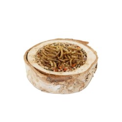 Miseczka proteinowa dla gryzoni, 1 szt.