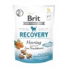 BRIT CARE DOG FUNCTIONAL SNACK RECOVERY HERRING 150g