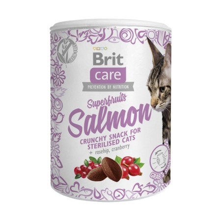 Brit Care Cat Snack Super Fruits Salmon 100g