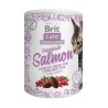 Brit Care Cat Snack Super Fruits Salmon 100g