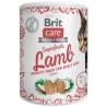 BRIT CARE  CAT SNACK SUPERFRUITS LAMB 100g