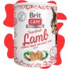 BRIT CARE  CAT SNACK SUPERFRUITS LAMB 100g