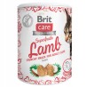 BRIT CARE  CAT SNACK SUPERFRUITS LAMB 100g