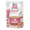 BR.CARE CAT SOUP WITH SALMON 75g