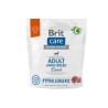 Brit Care Hypoallergenic Adult Large Breed Sucha Karma dla Dużych Psów Jagnięcina i Ryż 1 kg