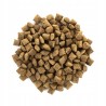 Brit Care Cat Grain-Free Sterilized Weight Control Sucha Karma dla Kota Kaczka i Indyk 400 g