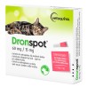 Vetoquinol Dronspot 60 mg/15 mg Krople na Odrobaczanie Kotów 2,5–5 kg 2 x 0,70 ml