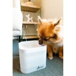 Fontanna dla zwierząt, bez adptera, 2l
