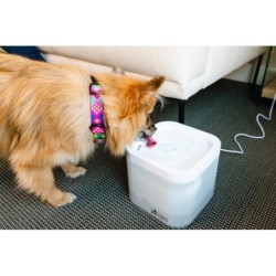 Fontanna dla zwierząt, bez adptera, 2l