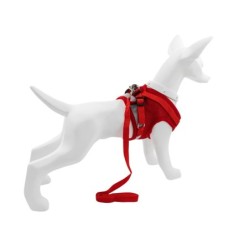 Zestaw, szelki+smycz, dla psa, czerwony, poliester, rozmiar M, elementy odblaskowe