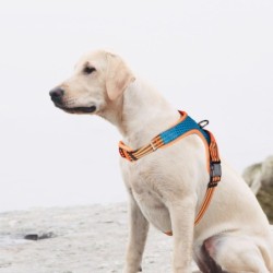 Szelki, dla psa, niebiesko-pomarańczowe, odblaskowe, rozmiar XL, podkładka pod szyję, ob.szyi 66-92cm/ob.klatki 74-121cm