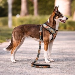 Szelki dla psa, z wytrzymałej tkaniny, wzór boho, max. Obw. Szyi 47cm, obw. Klatki 58-78cm