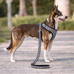 Szelki dla psa, z wytrzymałej tkaniny, wzór aztecki, biało-czarne paski, max. Obw. Szyi 28cm, obw. Klatki 34-45cm