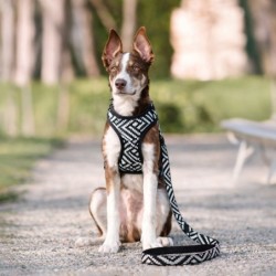 Szelki dla psa, z wytrzymałej tkaniny, wzór aztecki, biało-czarne paski, max. Obw. Szyi 35cm, obw. Klatki 40-52cm