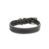 Obroża skórzana, M: 41-48 cm/25 mm, czarny