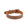 Obroża skórzana, M: 41-48 cm/25 mm, ciemny beż