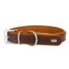 Obroża skórzana, XL: 48-58 cm/30 mm, jasny brąz