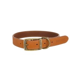 Obroża skórzana, M: 40-47 cm/20 mm, beżowy