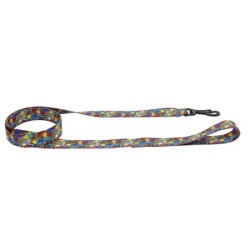 Smycz dla psa taśma Dream Party, 16mm/120cm