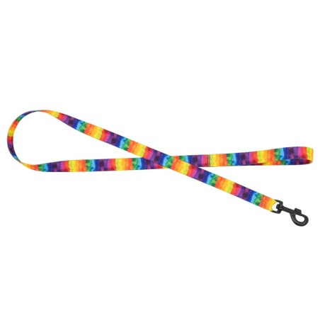 Smycz dla psa taśma Tęcza, 20mm/120cm