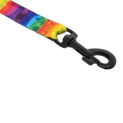 Smycz dla psa taśma Tęcza, 20mm/120cm