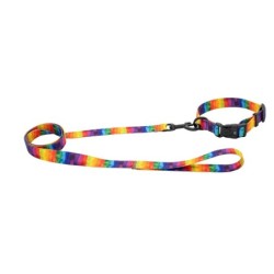 Smycz dla psa taśma Tęcza, 20mm/120cm