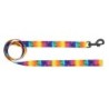 Smycz dla psa taśma Tęcza, 25mm/120cm