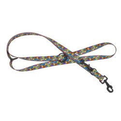 Smycz regulowana taśma dla psa Dream Party, 20mm/220cm