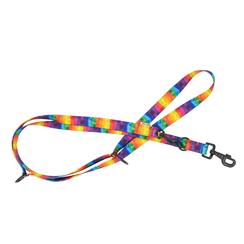 Smycz regulowana taśma dla psa Tęcza, 20mm/220cm