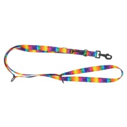 Smycz regulowana taśma dla psa Tęcza, 20mm/220cm