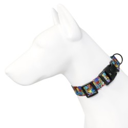 Obroża taśma dla psa Dream Party, 25mm/50-70cm