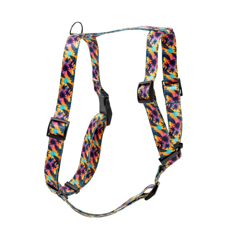 Szelki taśma dla psa Hawaje, 20mm/50-80cm