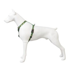 Szelki taśma dla psa Tropical, 25mm/60-100cm