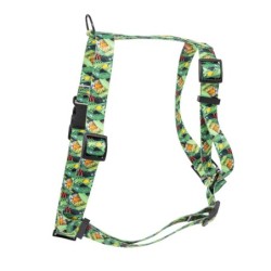 Szelki taśma dla psa Tropical, 25mm/60-100cm