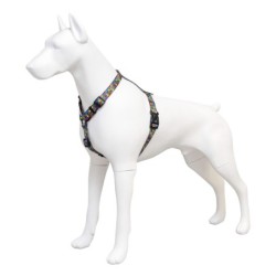 Szelki taśma dla psa Dream Party, 20mm/50-80cm