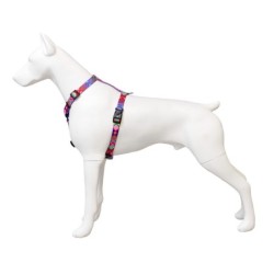 Szelki taśma dla psa Peru, 25mm/60-100cm