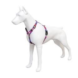 Szelki taśma dla psa Peru, 25mm/60-100cm