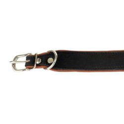 Obroża Skóra Łoś "Strong" 50mm/65cm koniak