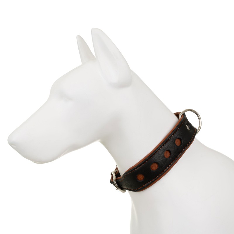 Obroża Skóra Łoś "Strong" Koła 40mm/55cm koniak