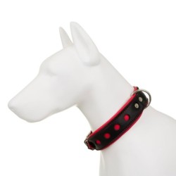 Obroża Skóra Łoś "Strong" Koła 50mm/65cm czerwony