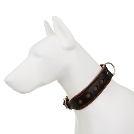 Obroża Skóra Łoś "Strong" Koła 50mm/65cm koniak