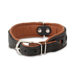 Obroża Skóra Łoś "Strong" Koła 50mm/65cm koniak