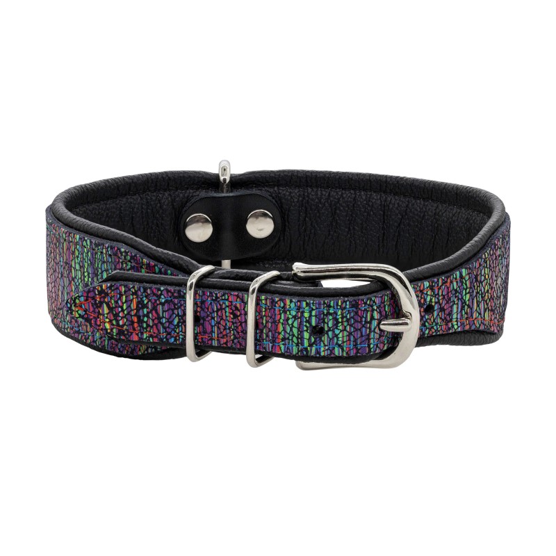 Obroża dla psa skórzana Laser, L-XL, 25mm/55cm