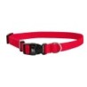 Classic obroża dla psa, czerwona, S-M, 16mm/30-45cm