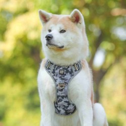 Szelki, dla psa, szare moro, materiał Oxford, S, ob.szyi 36-50cm/ob.klatki 36-63cm