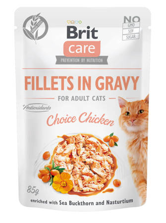 BRIT CARE CAT FILLET GRAVY CHOICE CHICKEN POUCH 85g